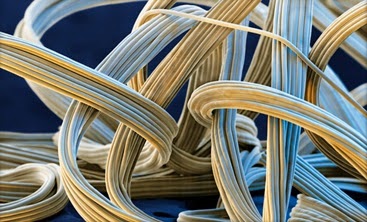 Microscopic view of spandex